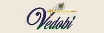 Vedobi : Revolutionizing Wellness with Ayurvedic Solutions