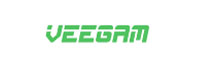 Veegam Software :  A Young Firm Marking Milestones In Digital Transformation Services