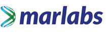 Marlabs: Shaping the Future through Innovation, Inclusivity, & Empowered Leadership