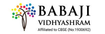 Babaji Vidhyashram CBSE Higher Secondary School