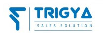 Trigya Sales Solution