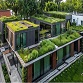 The Crucial Role of Green Roofing Solutions in Today's Sustainable Infrastructure