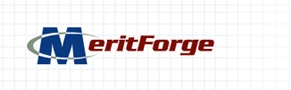 Training Institute-MeritForge Infotech
