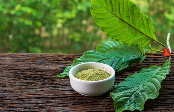 The Benefits of Kratom: Pain Relief, Mood Enhancement, and More 