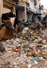 India's top dirtiest cities 