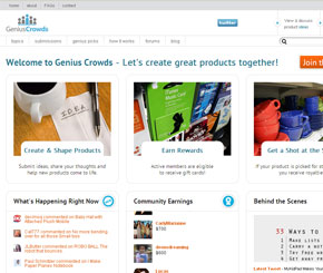 GeniusCrowds, crowdsourcing site, helps business grow
